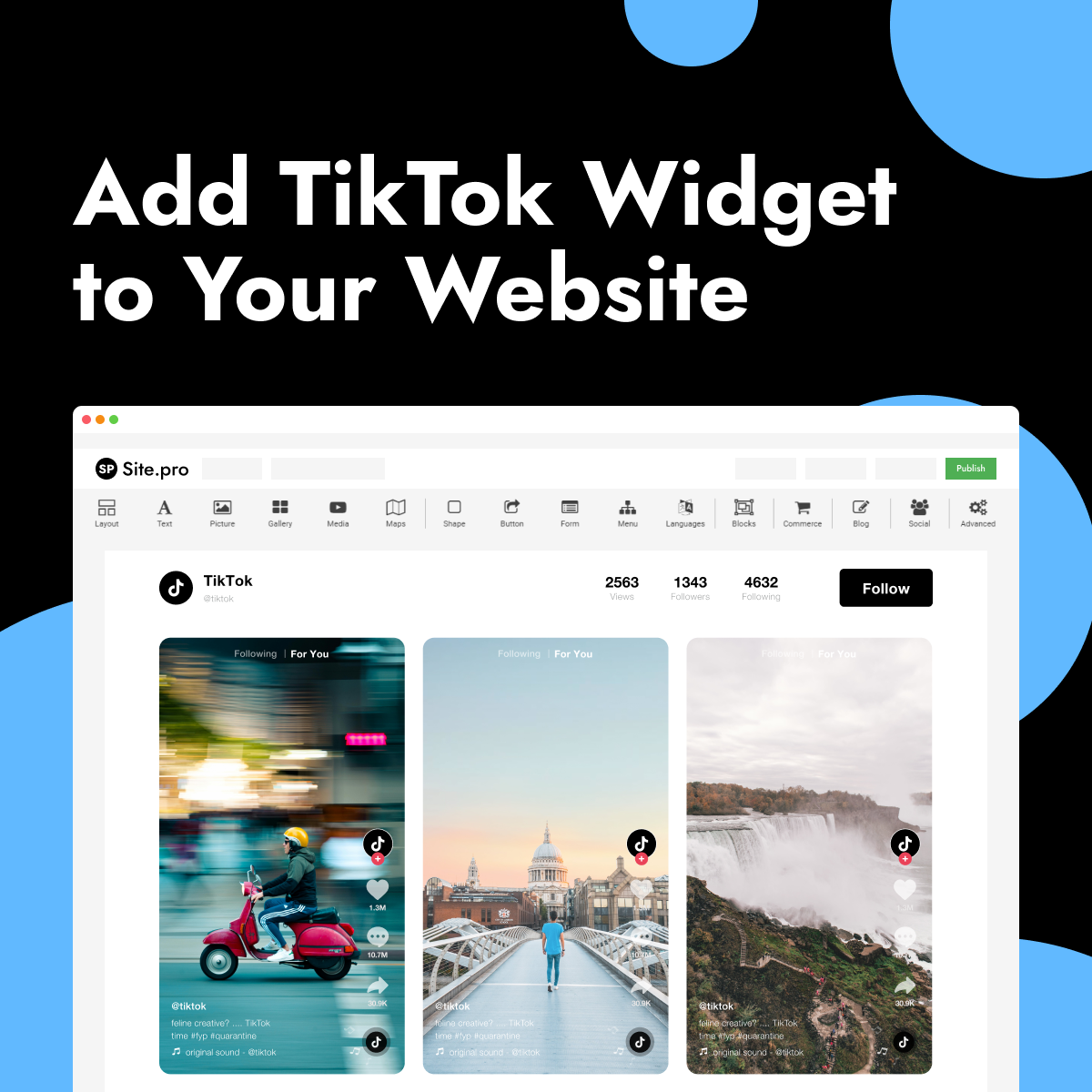 tiktok_widget.png